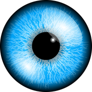 Panopticum
